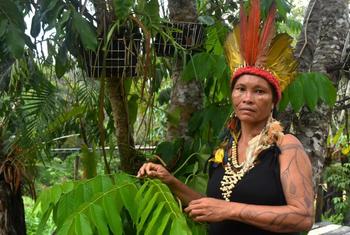 Lutana Ribeiro ndiye chifu pekee wa kike wa Parque das Tribos, kitongoji cha wenyeji huko Manaus, mji mkuu wa jimbo la Amazonas la Brazili.