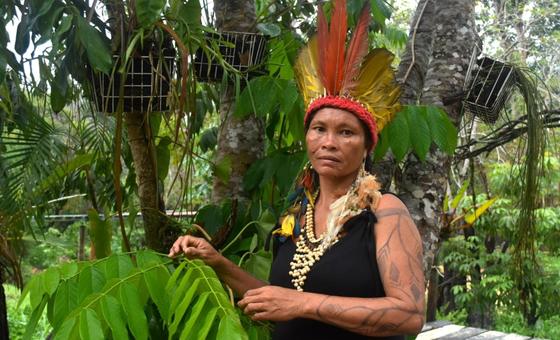 ‘We are not afraid’: Indigenous Brazilian women stand up to gender violence