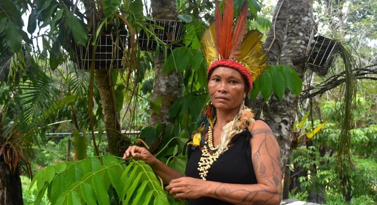 ‘Korkmuyoruz’: Yerli Brezilyalı kadınlar toplumsal cinsiyet şiddetine karşı ayağa kalktı

 Nguncel.com
