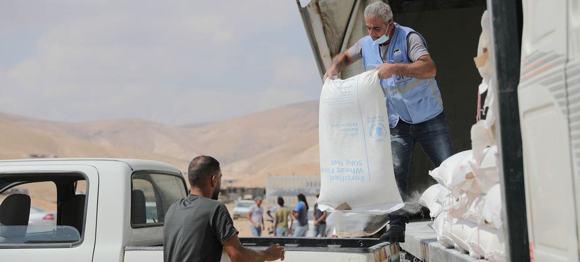 Um funcionário da UNRWA descarrega um grande saco de farinha de trigo fortificada de um caminhão para a carroceria de uma caminhonete Toyota branca, enquanto outro homem aguarda para recebê-lo. A cena se passa em uma paisagem seca e árida, com montanhas ao fundo.