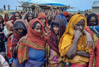 A group of internally displaced people due to the Tigray conflict gather in a site in Ethiopia's Afar region, Ethiopia.