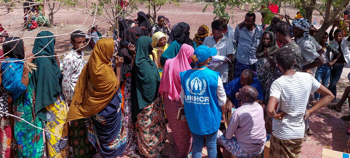 Des réfugiés érythréens de la région d'Afar, en Éthiopie, reçoivent une aide d'urgence.