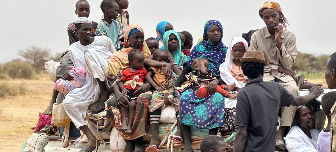 A caravan full of displaced families fleeing North Darfur's El Fasher in search of safety. Across Sudan, more than 12 million people have been driven from their homes.