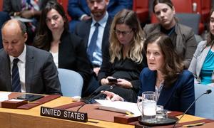 Временный посол США при ООН. Временный посол США при ООН.