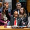 美国常驻联合国副代表罗伯特·伍德在安理会投票反对关于加沙的决议草案。