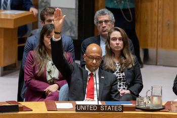 Ambassador Robert A. Wood of the United States votes against the draft resolution on Palestine in the Security Council.