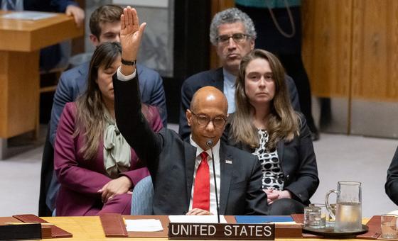 Заместитель посла США Роберт Вуд голосует в Совете Безопасности ООН.