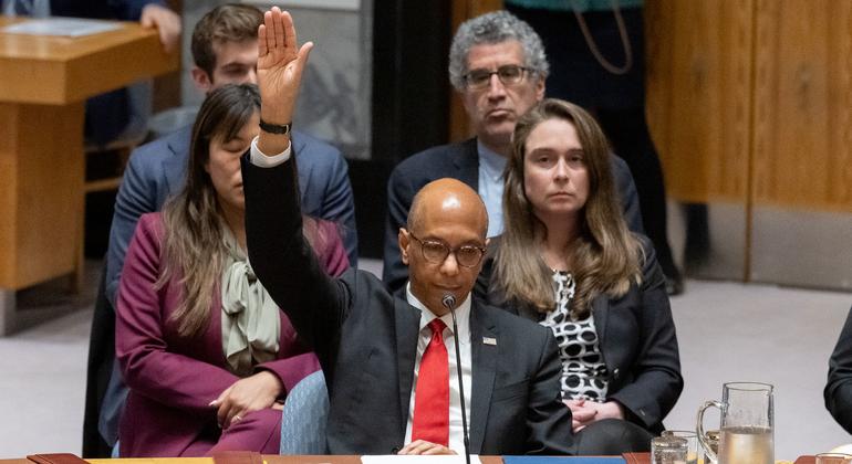 Robert Wood, Deputy Permanent Representative of the United States to the UN, votes against a draft resolution on Gaza in the Security Council on 18 April 2024. (file)