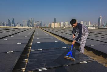 Un empleado mantiene limpias las instalaciones de una granja solar en China.