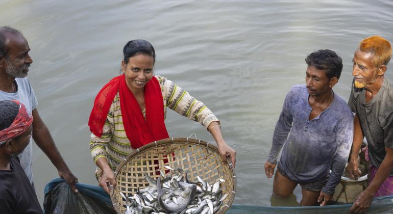 APART परियोजना से मिले प्रशिक्षण के बाद इलाक़े की महिलाएँ, मत्स्य पालन व्यवसाय में विविधता ला रही हैं. APART परियोजना से मिले प्रशिक्षण के बाद इलाक़े की महिलाएँ, मत्स्य पालन व्यवसाय में विविधता ला रही हैं.