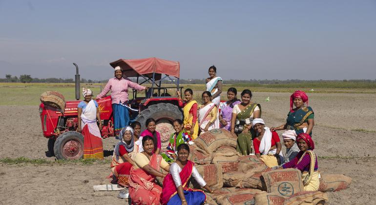 विश्व बैंक की APART परियोजना किसानों को ज्ञान और संसाधनों से सशक्त बना रही है, उन्हें पारम्परिक खेती से परे सोचने के लिए प्रोत्साहित कर रही है. विश्व बैंक की APART परियोजना किसानों को ज्ञान और संसाधनों से सशक्त बना रही है, उन्हें पारम्परिक खेती से परे सोचने के लिए प्रोत्साहित कर रही है.