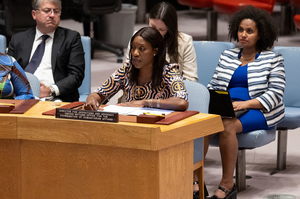 Edem Wosornu anatoa taarifa kwa Baraza la Usalama kuhusu hali nchini Sudan na Sudan Kusini.