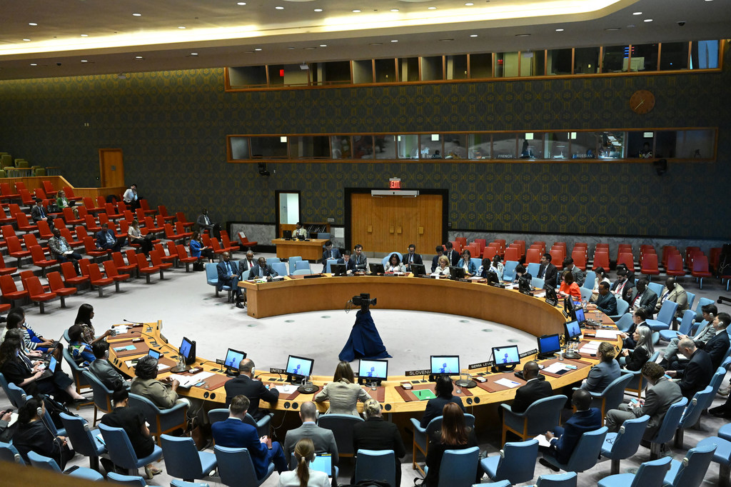 Vue d'ensemble de la réunion du Conseil de sécurité de l'ONU sur la situation au Soudan.