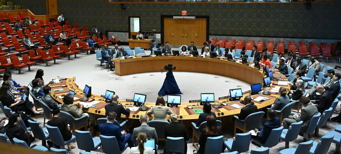 A wide view of the UN Security Council meeting on the situation in Sudan.