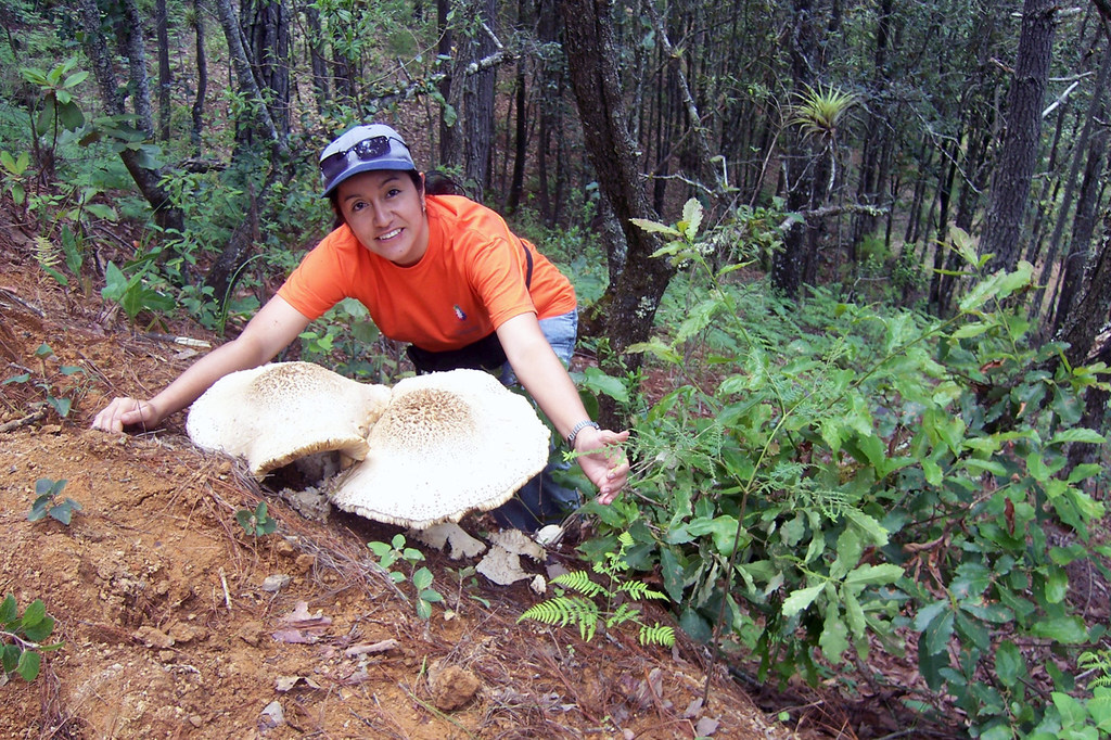 La bióloga Nancy Yáñez posa junto a grandes setas en un bosque de México.