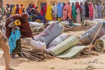 Aide distribuée à des familles déplacées qui ont fui les violences au Nigeria et se sont installées au Niger.