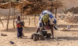 Over the past few years, thousands of families have fled violence in Nigeria and have settled in Niger.