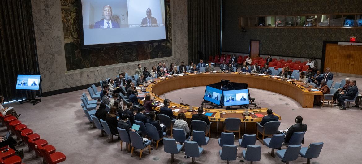A wide view of the UN Security Council chamber as members meet on Sudan and South Sudan.