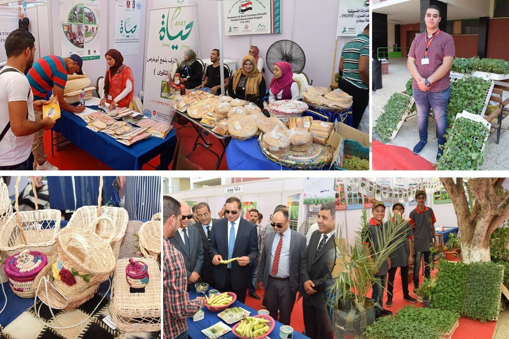 منظمة اليونيدو تطبق سياسة الزراعة المستدامة  في صعيد مصر