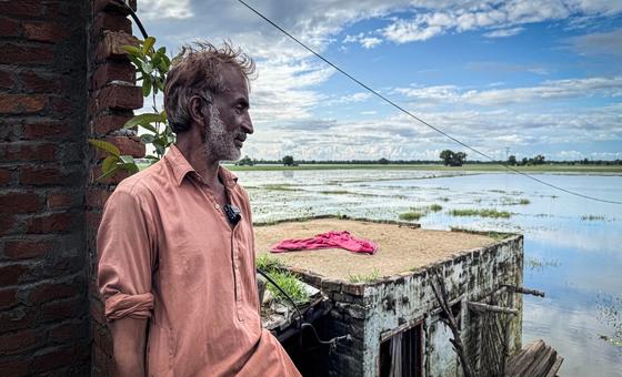 پاکستان کے صوبہ پنجاب کے علاقے ڈسکہ کے محمد شاہد سیلاب میں گر جانے والے اپنے گھر کو دیکھ رہے ہیں۔