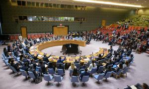 14 miembros del Consejo de Seguridad de la ONU votaron a favor de una resolución que pide el alto el fuego en Gaza. Estados Unidos vetó el proyecto.