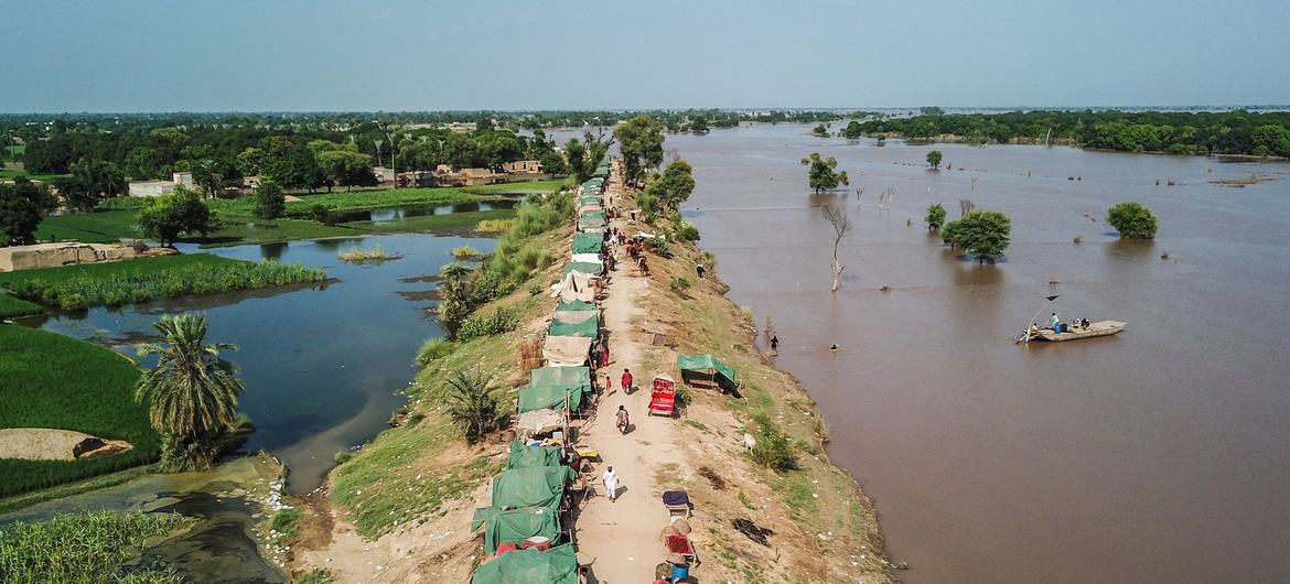 Des rangées de tentes s'étendent le long de routes dans des zones touchées par les inondations au Pakistan.