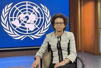 Irene Khan, UN Special Rapporteur on the promotion and protection of the right to freedom of opinion and expression.