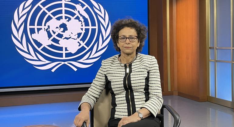 Irene Khan é relatora especial da ONU para direito à liberdade de opinião e expressão. 