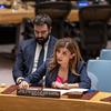 كارولين زيادة، الممثلة الخاصة للأمين العام ورئيسة بعثة الأمم المتحدة للإدارة المؤقتة في كوسوفو (يونميك) تتحدث أمام مجلس الأمن.