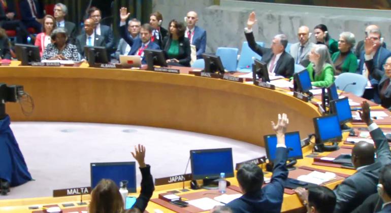 O Conselho de Segurança vota o projeto de resolução sobre a situação Israel-Gaza