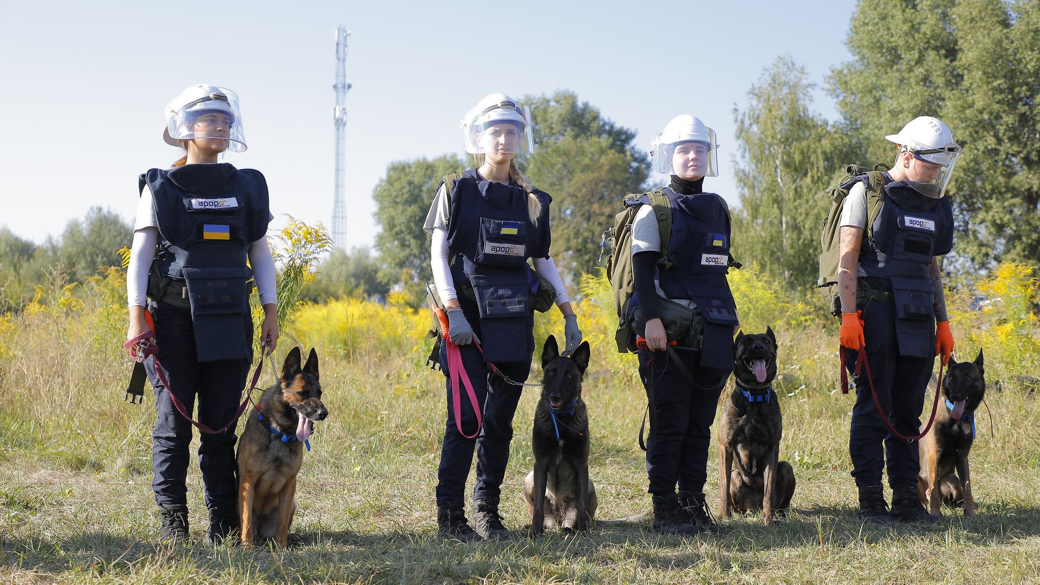 ‘Every day there’s new contamination’: Mine clearing in Ukraine episode artwork