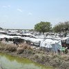 Local communities in Jonglei in South Sudan have been impacted by ongoing intercommunal violence. (file)