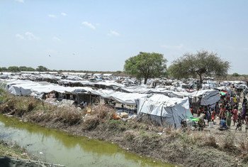 南苏丹琼莱州的当地社区受到持续不断的族裔间暴力影响。