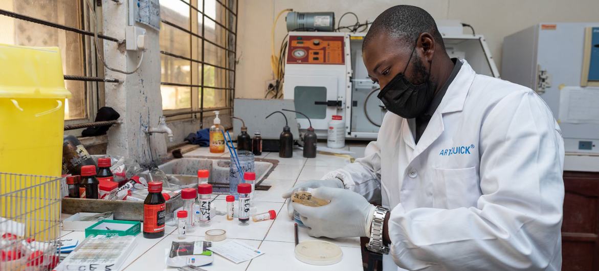 尼日利亚一家教学医院的微生物学实验室里，一名医生正在检查样本。