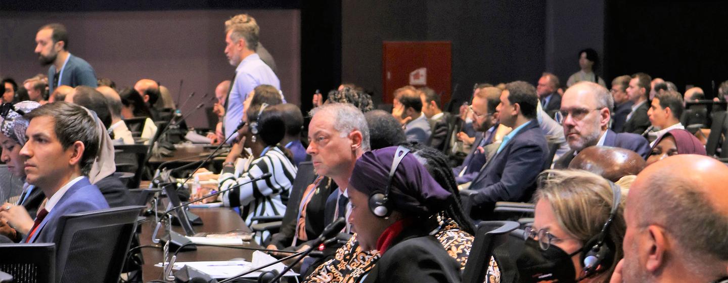 各方代表参加第27届联合国气候变化大会最后一天的全体会议。