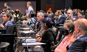 Delegates at the plenary at the last day of COP27.