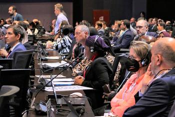 各方代表参加第27届联合国气候变化大会最后一天的全体会议。