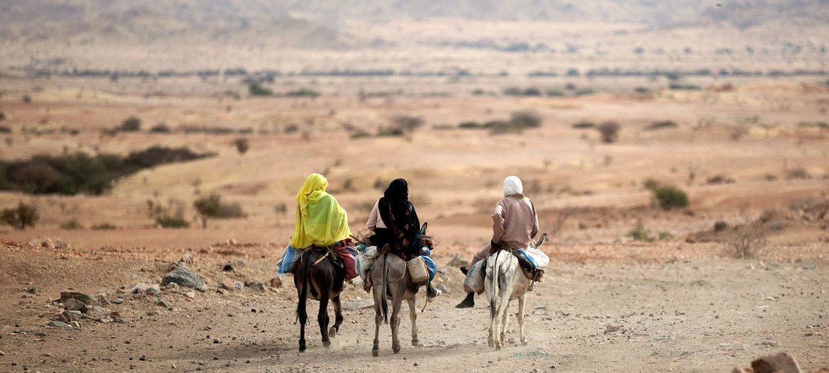 Женщины в Эль-Фашере, Судан. 