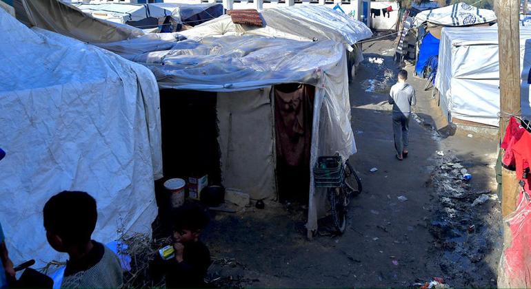 مدرسة النصيرات الإعدادية، وسط قطاع غزة، تحولت إلى مأوى لآلاف النازحين. تقدم الوكالة الخدمات الصحية للمقيمين في ملاحئها في ظل مخاوف من انتشار الأمراض بسبب الاكتظاظ الشديد وعدم توفر الماء والصرف الصحي.
