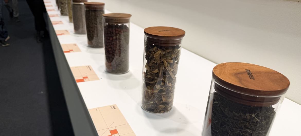 कई पारम्परिक चिकित्सा प्रणालियों में जड़ी-बूटियों का उपयोग किया जाता है.