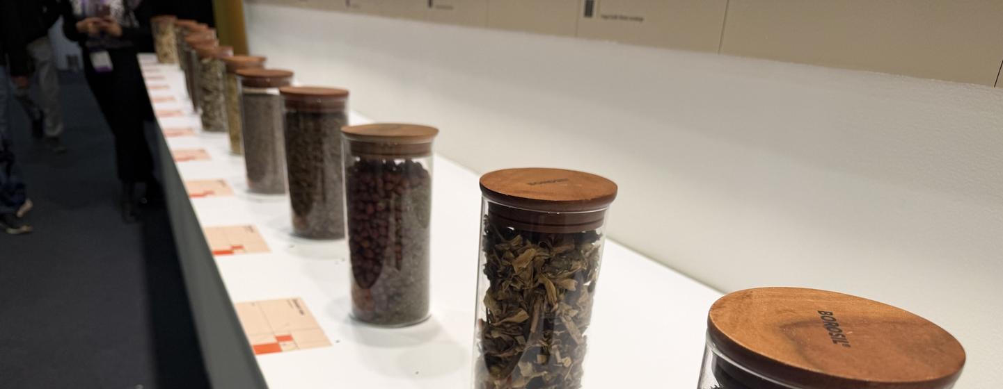 Herbs are traditionally used in many traditional medicine systems.