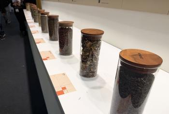 Una fila de frascos de vidrio con tapas de madera que contienen varias hierbas secas, expuestas en la Cumbre de Medicina Tradicional en India, organizada por la OMS.