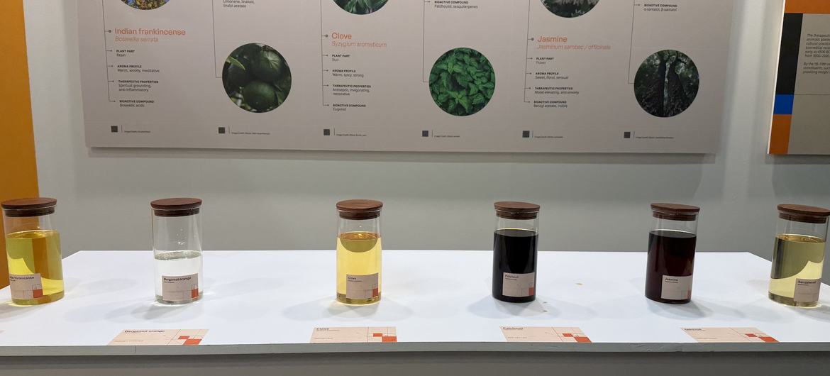 विश्व स्वास्थ्य संगठन के पारम्परिक चिकित्सा वैश्विक शिखर सम्मेलन में प्रदर्शित एरोमाथेरेपी तेल.