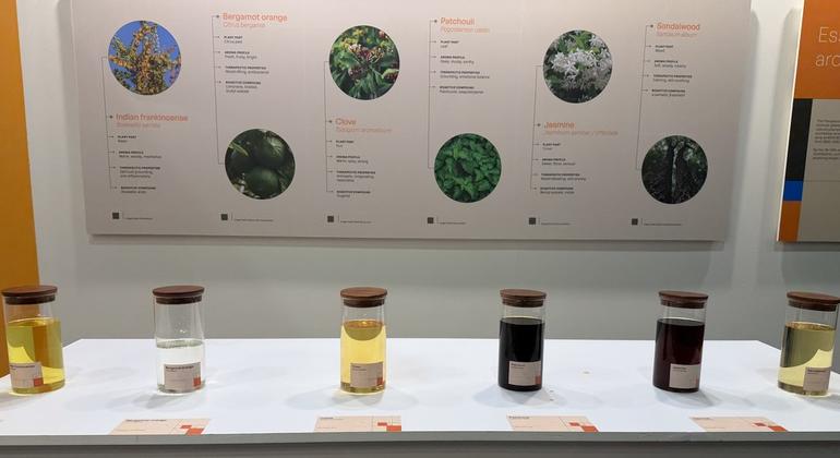 विश्व स्वास्थ्य संगठन के पारम्परिक चिकित्सा वैश्विक शिखर सम्मेलन में प्रदर्शित एरोमाथेरेपी तेल.