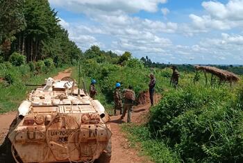 media:entermedia_image:3d179a4e-eb54-40c3-bb14-9394cbfb2ee8