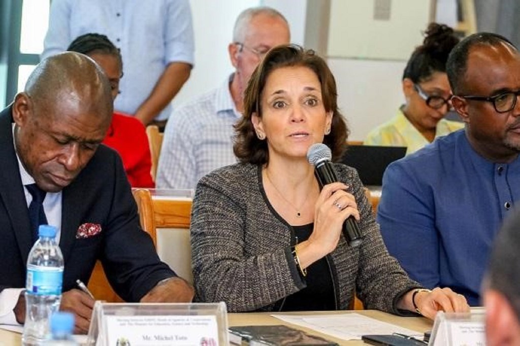 Mwakilishi wa WFP nchini Tanzania, Bi.Sarah Gordon-Gibson (anayezungumza), wakati wa Mazungumzo ya Kikakati ya Juu kati ya Waziri wa Elimu, Sayansi na Teknolojia na Washirika wa Maendeleo ya Elimu nchini Tanzania.