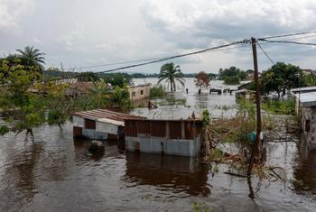 farmland and houses are flooded following heavy rains in the Republic of Congo.