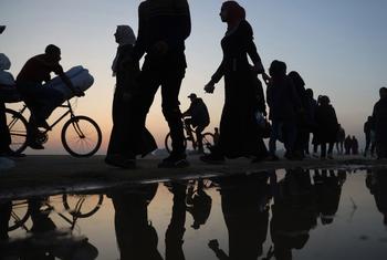 Palestinians remain on the move as the conflict in Gaza continues.