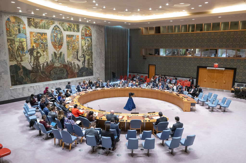 Vue d'ensemble de la réunion du Conseil de sécurité de ONU sur la situation en Libye.