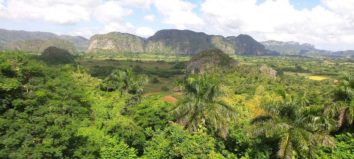 يجري المشروع المدعوم من برنامج الأمم المتحدة الإنمائي في كوبا تقييماً اقتصادياً لسلع وخدمات النظم الإيكولوجية التي تنتجها الغابات وهو ما سيُفيد في اتخاذ القرارات المالية والإنمائية.